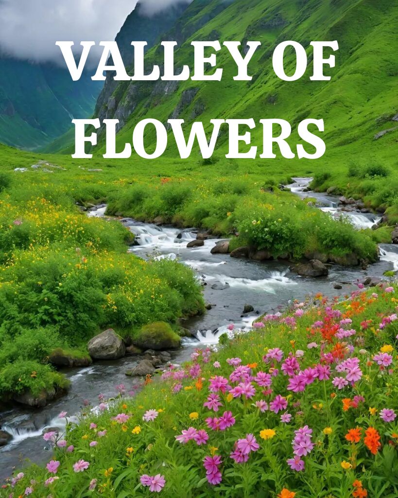 Valley of Flowers Biodiversity & Flora